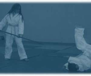 Nimes Aikido Milhaud