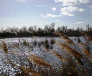 photo Randotheme Beaucaire 3951