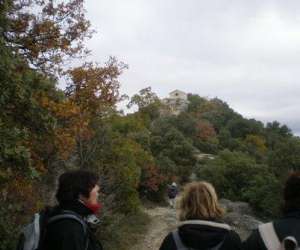photo Randotheme Beaucaire 3952