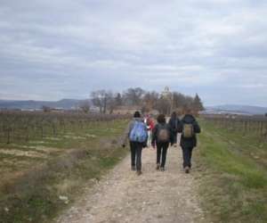 photo Randotheme Beaucaire 3954