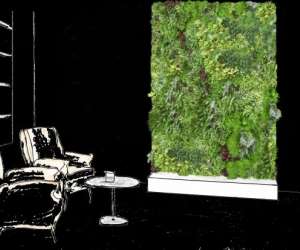 photo Vegetal dco Paulhan 4105