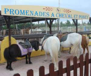 photo Ranch  l 34 - promenades a cheval Vendres 4501