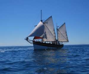Balade en mer sur voilier traditionnel Balade en mer sur voilier traditionnel