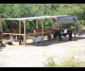 photo Happy parc poney quad Vic La Gardiole 4813