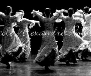 photo Ecole de flamenco alexandre romero Alenya 4966