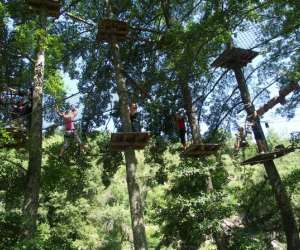 photo Abracadabranche parcours acrobatique en hauteur Thoiras 11477