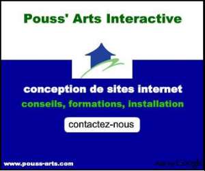 Pouss Arts Interactive