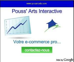 photo Pouss arts interactive Poussan 5070