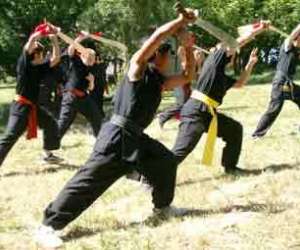 photo Thieu lam hong quyen, arts martiaux Perpignan 5143