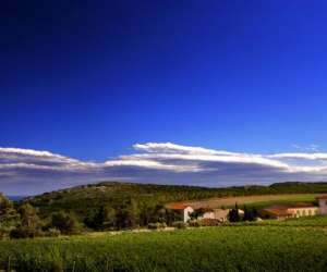 photo Chateau l'hospitalet  Narbonne 16459
