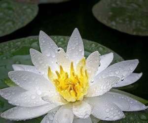 photo Centre de yoga Narbonne 9507
