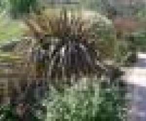 photo Sigean corbieres services plus Sigean 10078