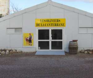 photo Les oliviers de la canterrane Trouillas 6811