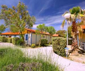 photo Camping lvl les ayguades  Gruissan 15266