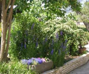 photo L'oustal du soleil Bessan 6531