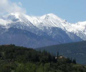 photo Mas des olivettes chambres d'htes Montauriol 5664