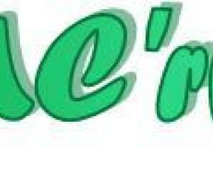Dmc'rviss - ( D.m. Services ) Dmc'rviss - ( D.m. Services )