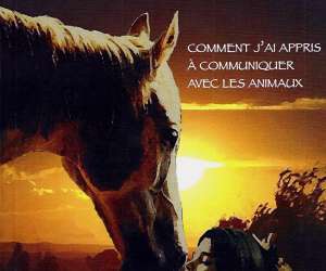 photo Laila del monte -  communiquer avec les animaux Rousson 10425