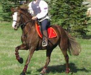 photo Rosame equitation Adissan 6093