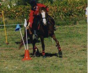 photo Rosame equitation Adissan 6094