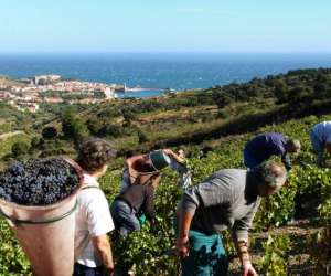 photo Sci gabriel -  le clos gabriel Bompas 6215