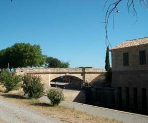 photo Gite le clos de l'asparets Salleles D Aude 6332