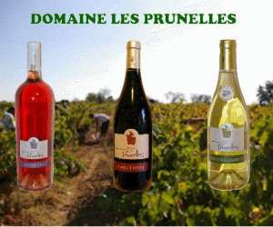 photo Domaine les prunelles Montblanc 6486