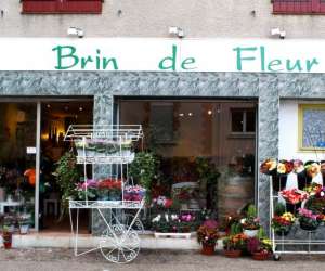 Brin De Fleur