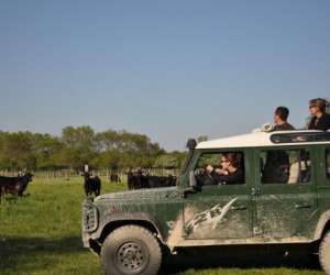 Camargue Autrement Safari 4x4