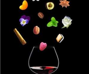 Sophro-degustation De Vin