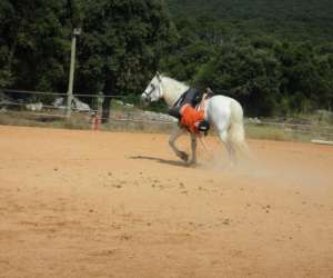 photo Les cavaliers d'argelliers Argelliers 10045