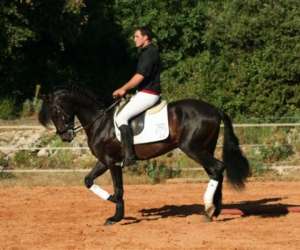 photo Les cavaliers d'argelliers Argelliers 10049