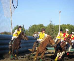 photo Les cavaliers d'argelliers Argelliers 10051
