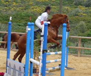 photo Les cavaliers d'argelliers Argelliers 10052