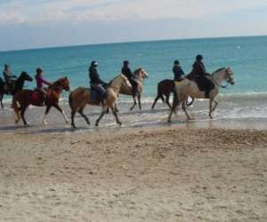 photo Les cavaliers d'argelliers Argelliers 10053