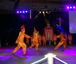 photo Tai chi chuan, qi gong , arts martiaux internes, armes Perpignan 10779