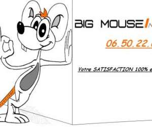 photo Societe big mouse informatique Servian 6760