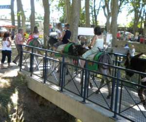 photo Association les pezenades Pezens 6925