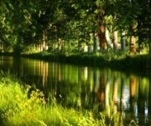 photo Chambre d'hote l'appart du chat boat-e Beziers 6998