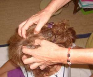 photo Massages ayurvediques et yoga Pia 7905