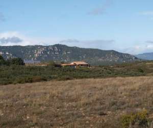 photo Clos romain prod.et vente d'huile d'olive  Cabrieres 7068