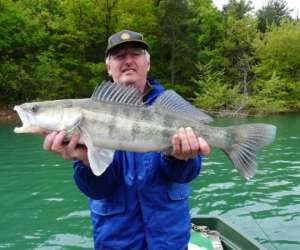 photo Pche en terre catalane - carnassiers et salmonids Angoustrine Villeneuve De 9954