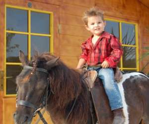 photo Poney club de st jean St Jean De Vedas 7329