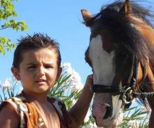 photo Poney club de st jean St Jean De Vedas 10645