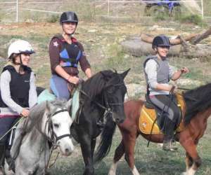 photo Poney club de st jean St Jean De Vedas 10646