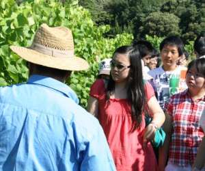 Prowinetour Prowinetour