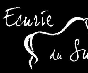 photo L'ecurie du sud  centre equestre Magalas 7317