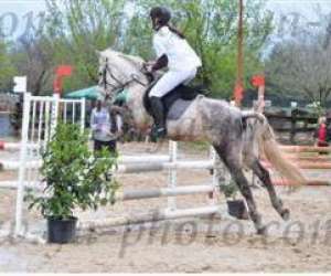 photo Poney club de maurin Lattes 7379