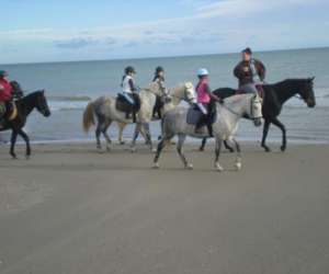 photo Poney club de maurin Lattes 7381