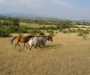 photo Gite la fermette les magettes Campestre Et Luc 12138